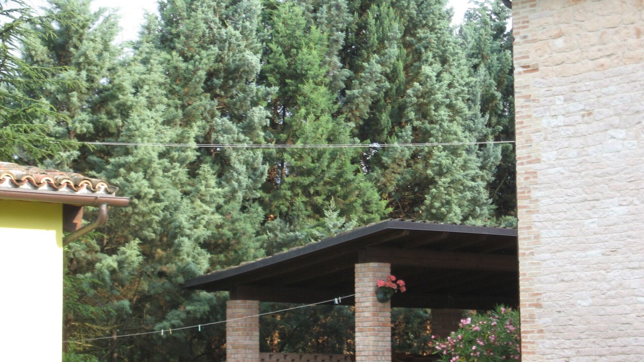 Photo of Outdoor in Acqualagna
