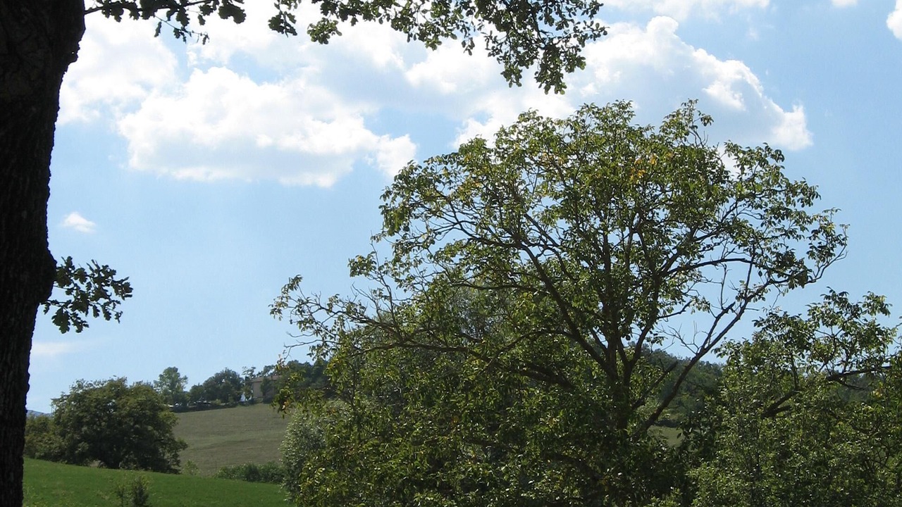 Photo of Outdoor in Acqualagna