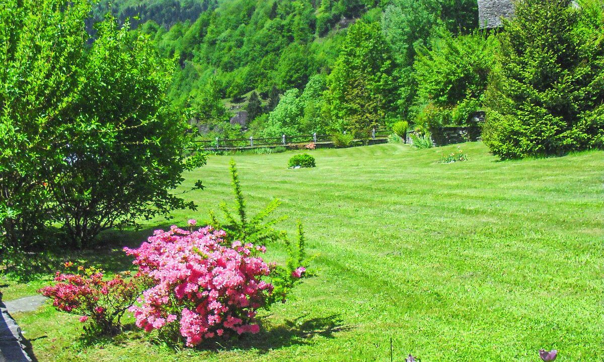 Photo of Outdoor in Croveo