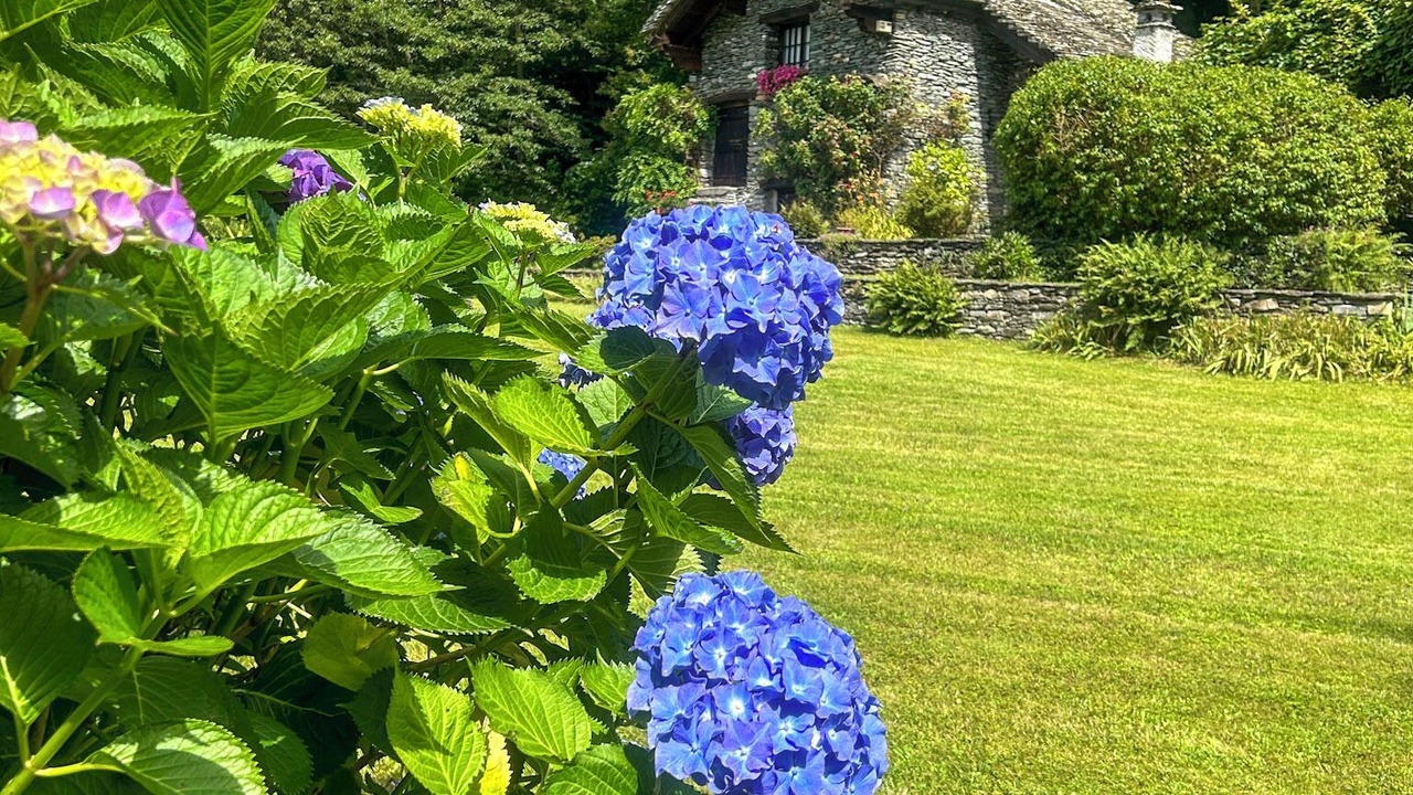 Photo of Outdoor in Croveo