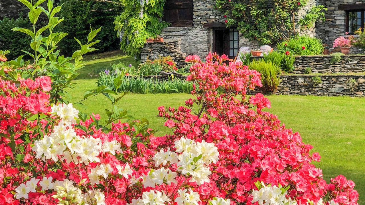 Photo of Outdoor in Croveo