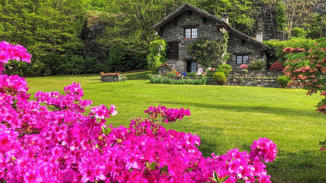 Photo of Outdoor in Croveo