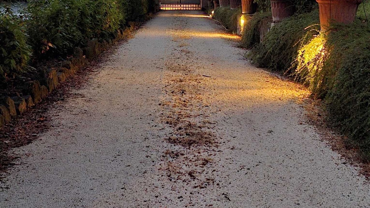 Photo of Others in Corciano