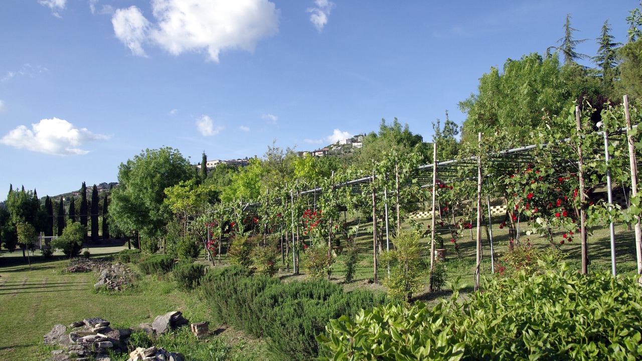Photo of Outdoor in Corciano