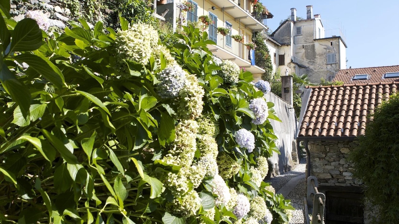 Photo of Outdoor in Gonte
