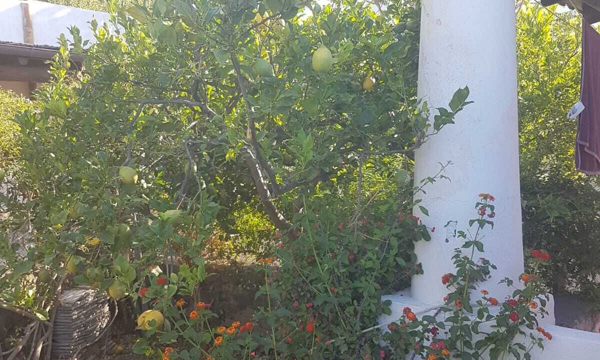 Photo of Outdoor in Malfa