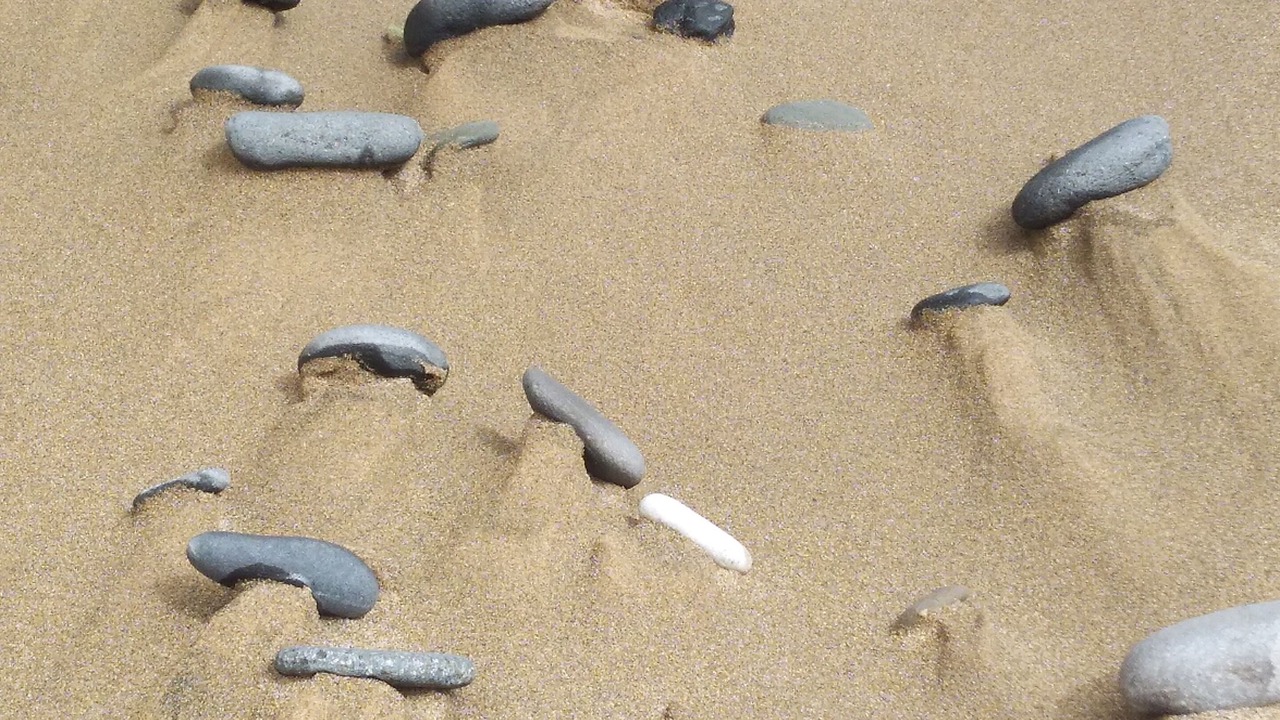 Photo of Others in Marina di Arbus