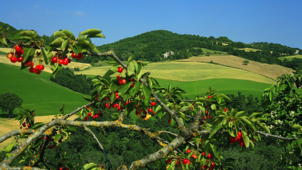 Photo of Outdoor in Cagli