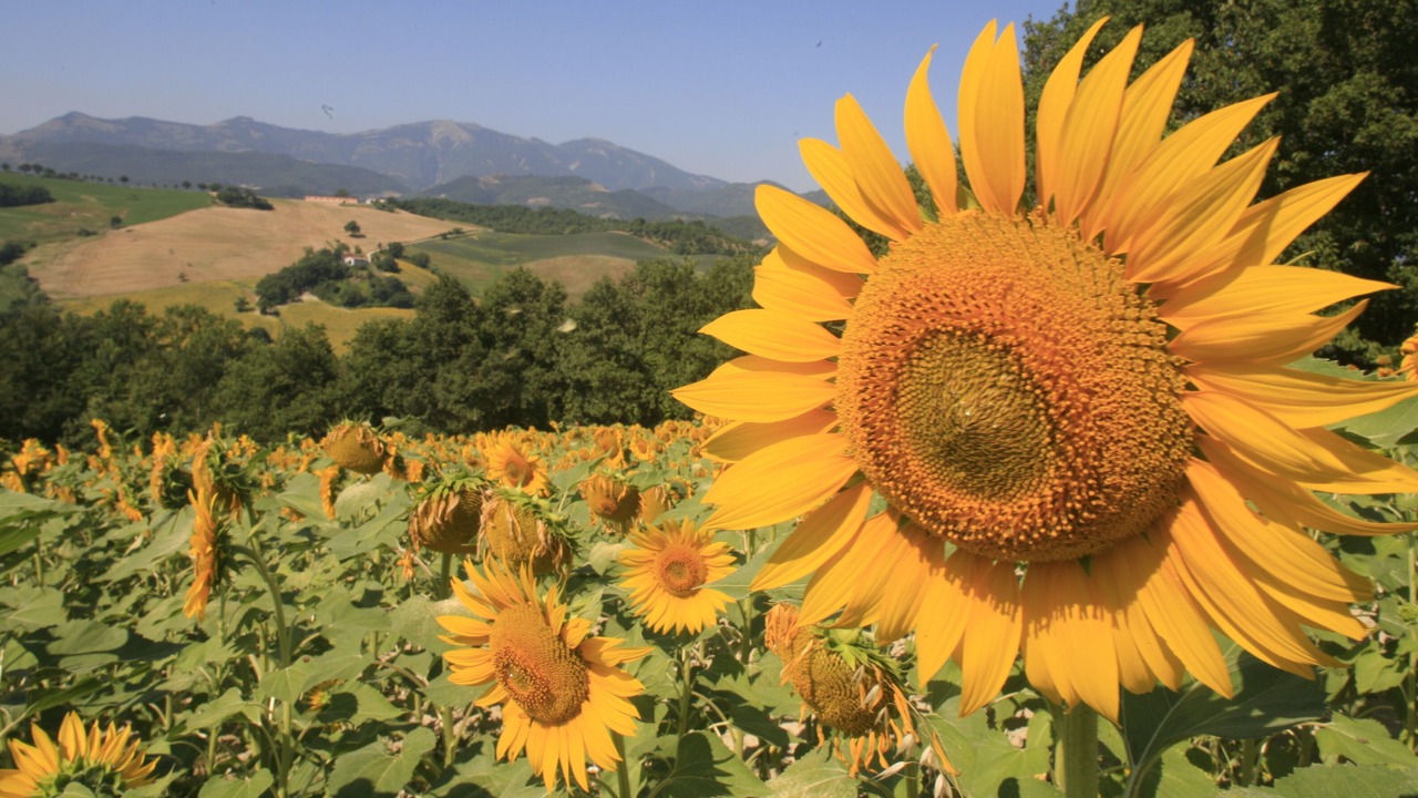 Photo of Outdoor in Cagli