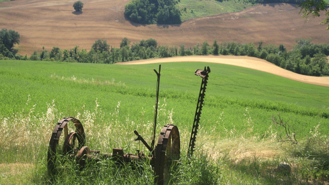 Photo of Others in Cagli