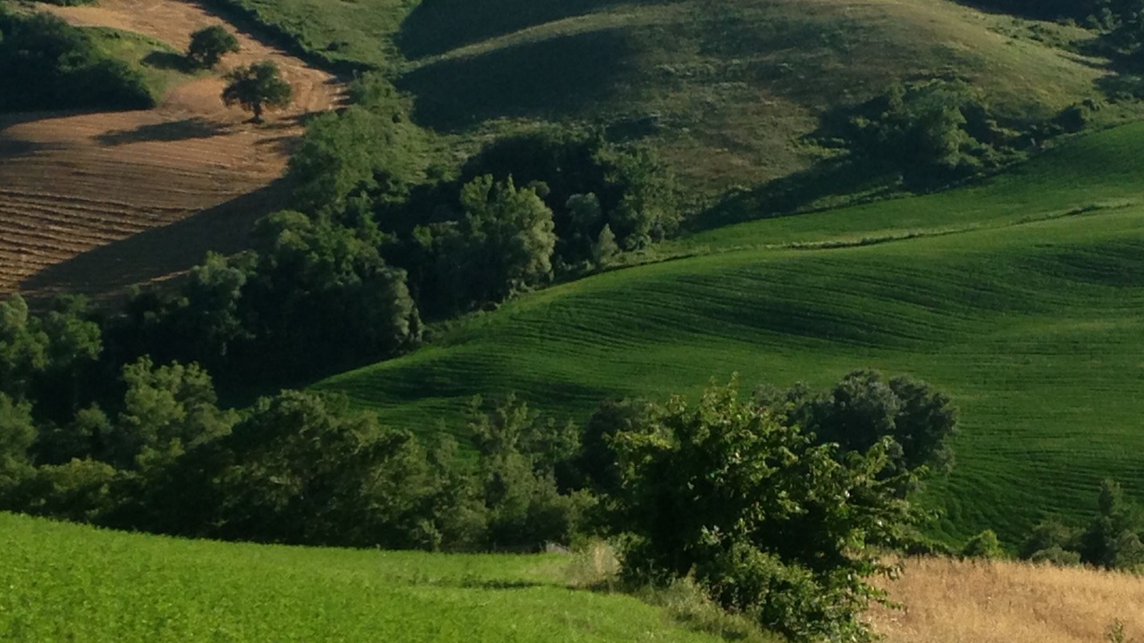 Photo of Others in Cagli