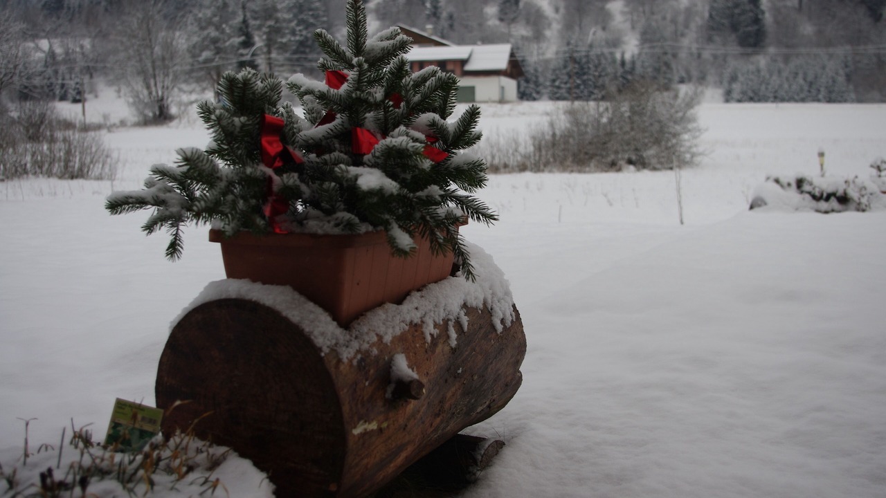 Photo of Outdoor in Tarvisio