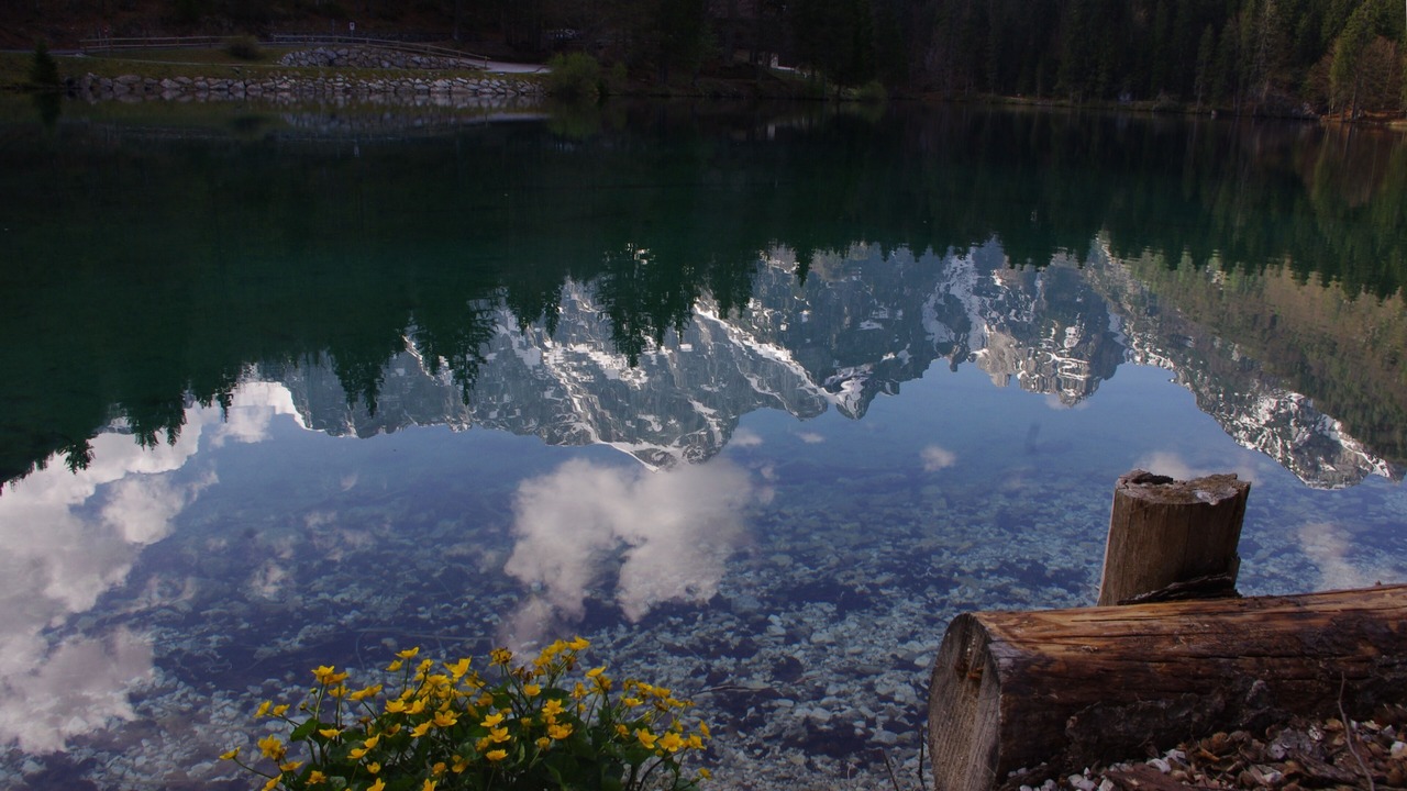 Photo of Others in Tarvisio