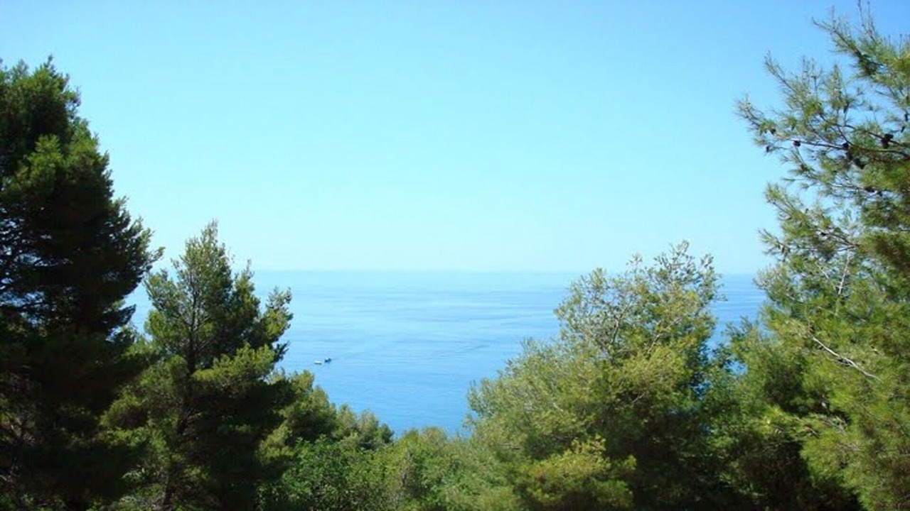 Photo of Others in Fiumicello Santa Venere