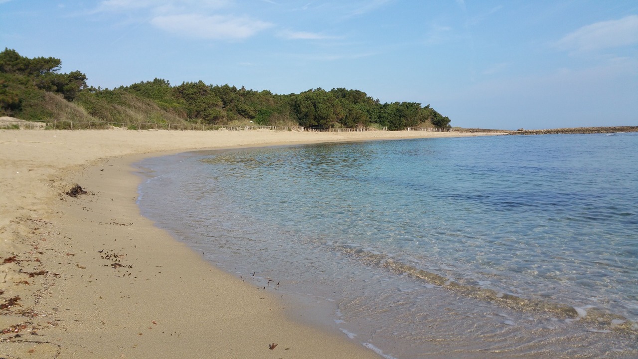 Photo of Others in Rosa Marina