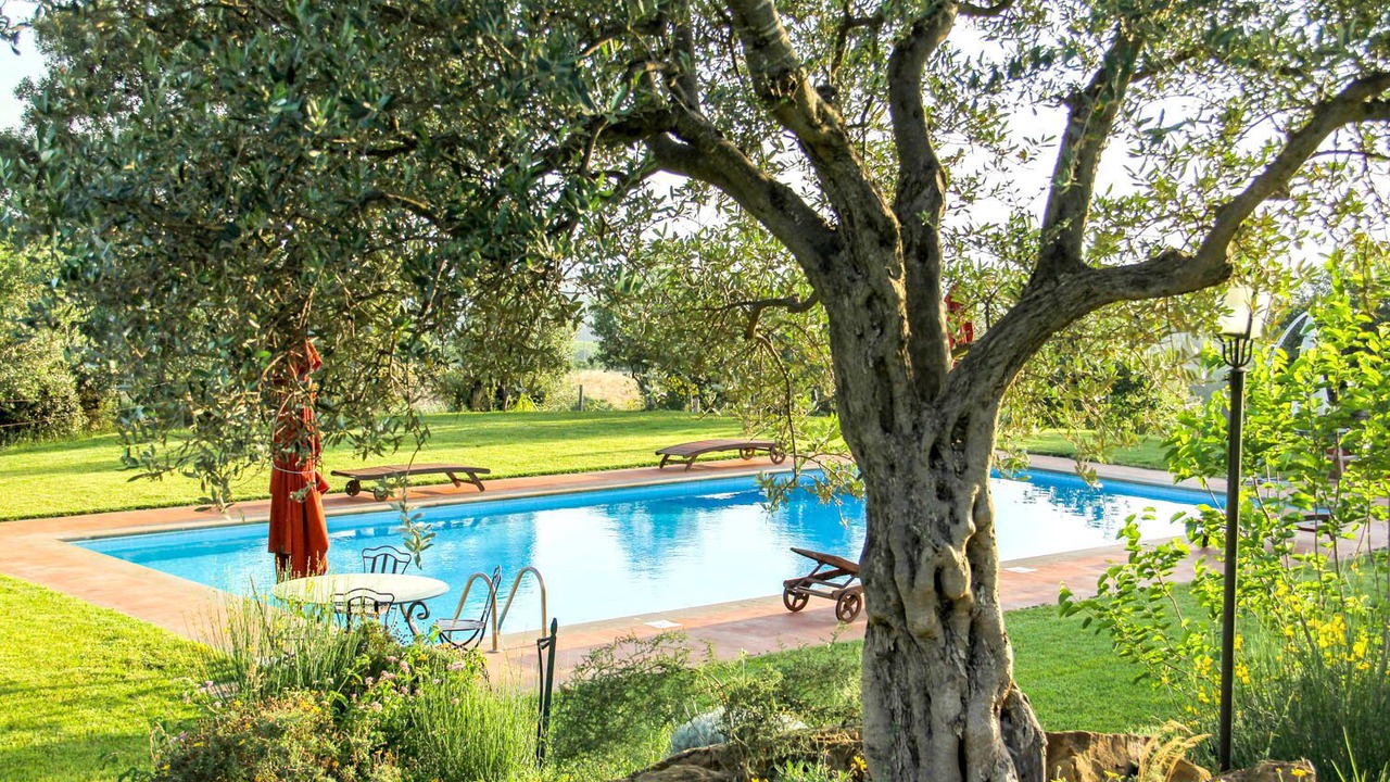 Photo of Outdoor in Magliano in Toscana