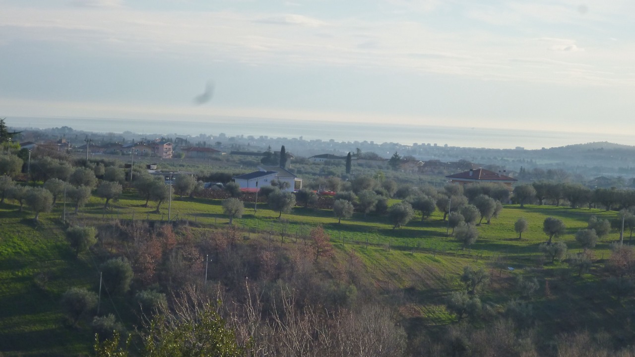 Photo of Others in Nereto