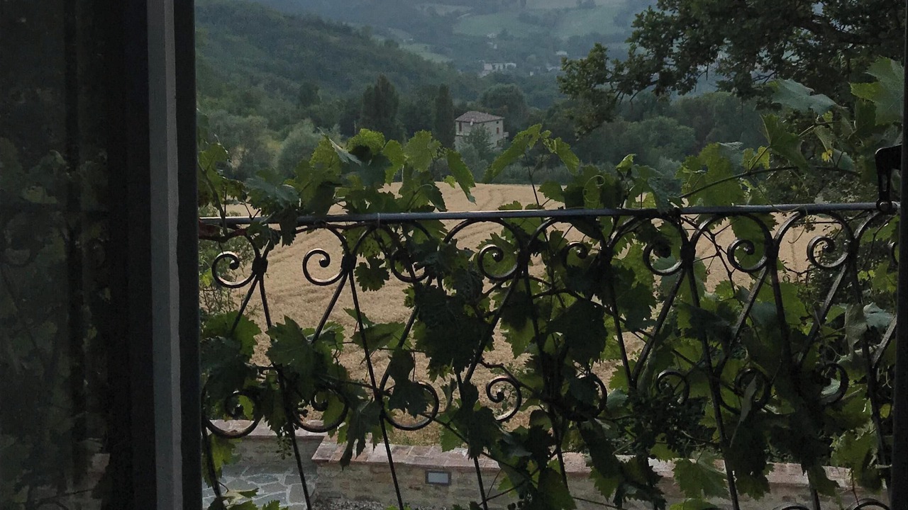 Photo of Others in Pergola