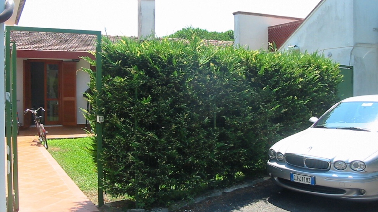 Photo of Outdoor in Laura