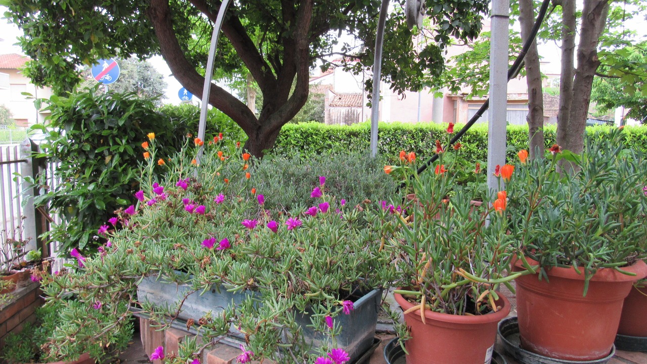 Photo of Outdoor in San Giovanni In Marignano