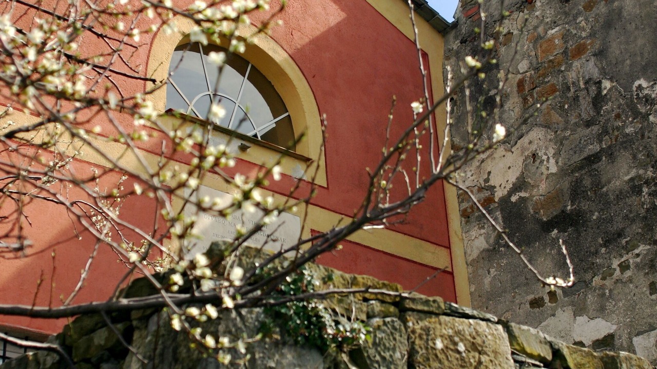 Photo of Outdoor in Monterosso al Mare