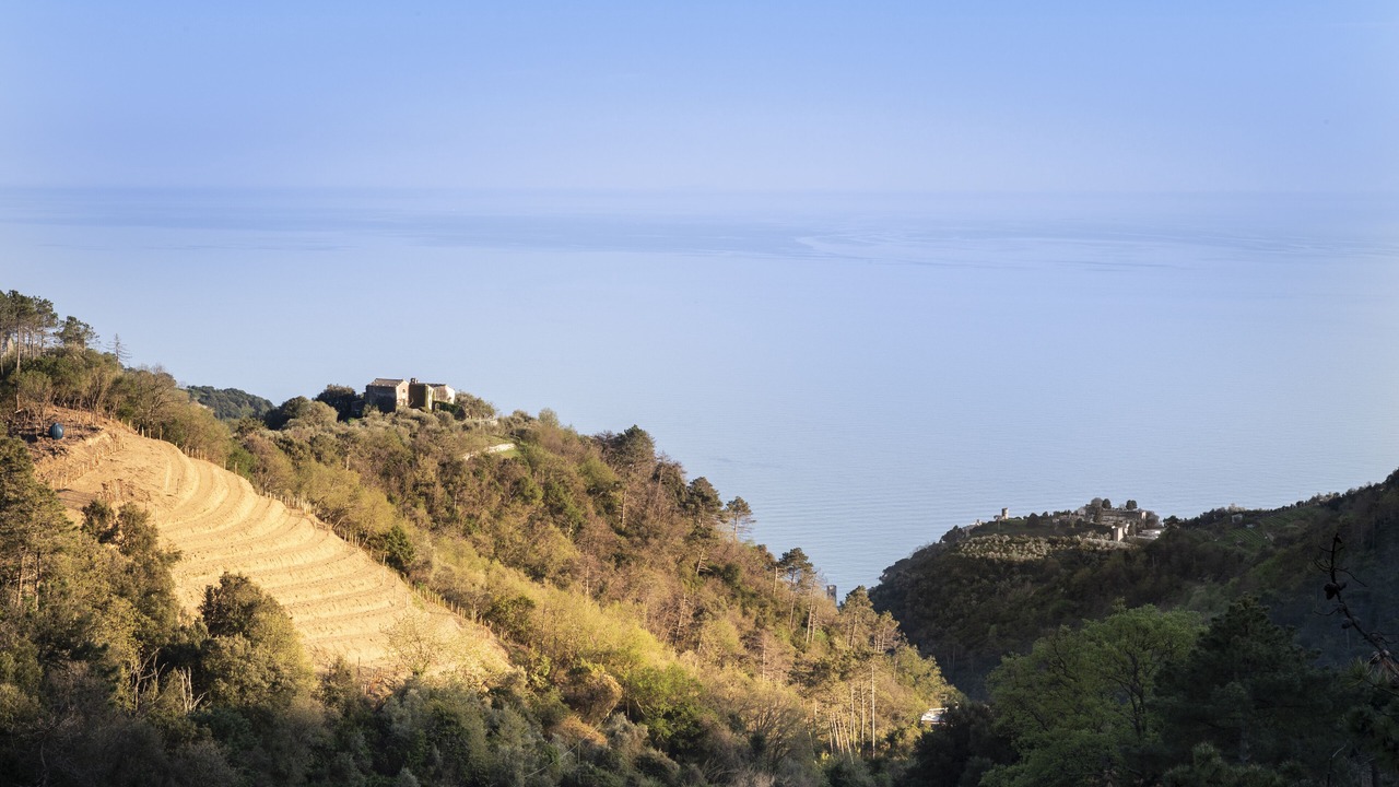 Photo of Others in Monterosso al Mare