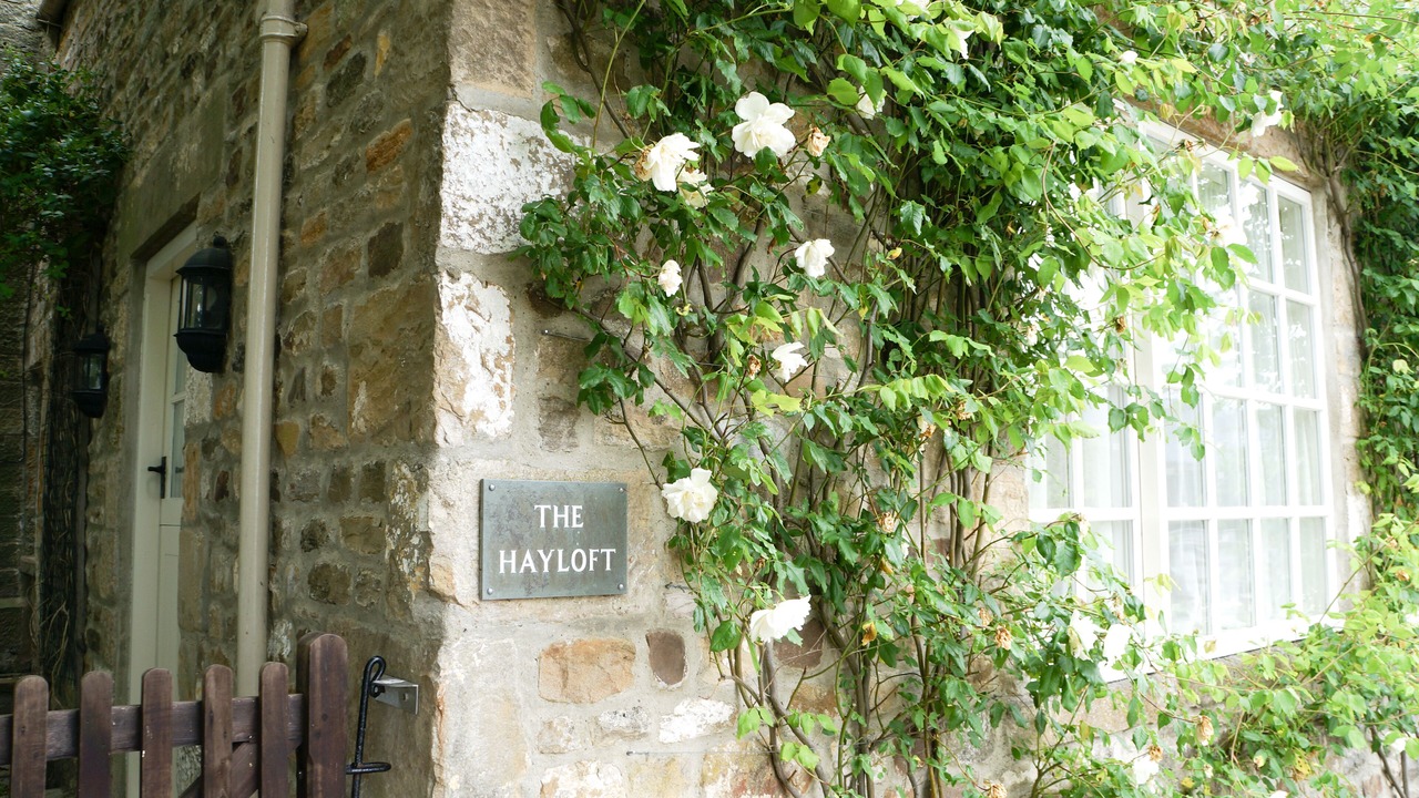 Photo of Outdoor in Darlington