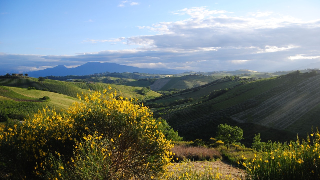 Photo of Others in San Savino