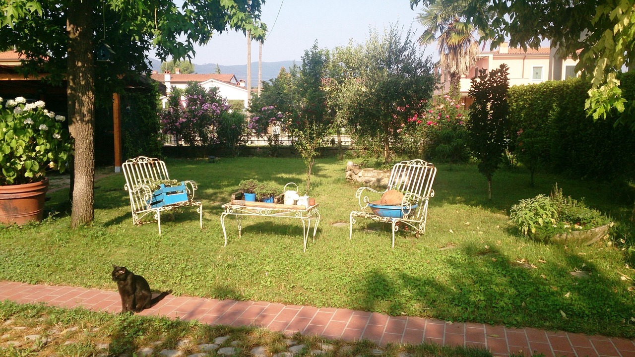 Photo of Outdoor in Vicopelago