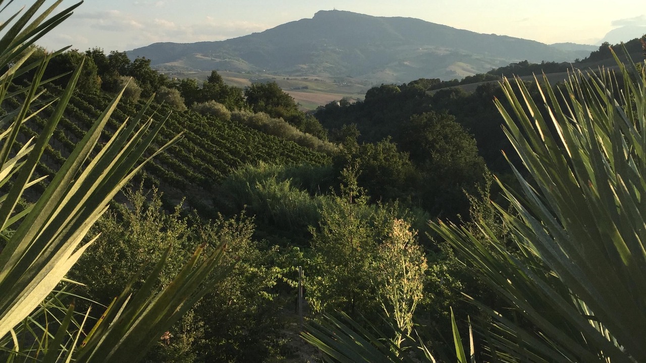 Photo of Outdoor in Porchia