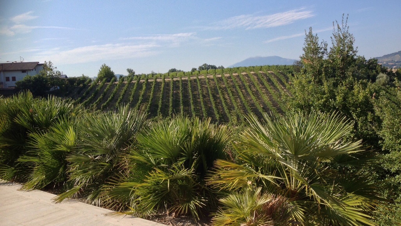 Photo of Outdoor in Porchia