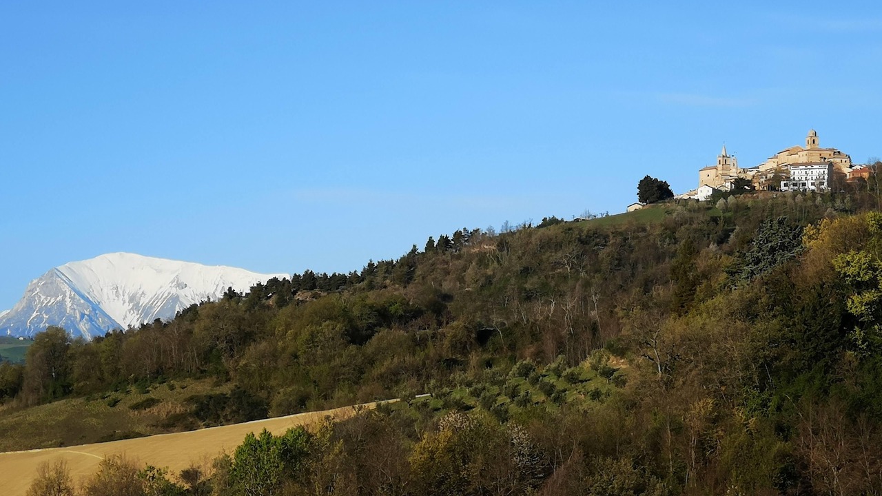 Photo of Others in Porchia