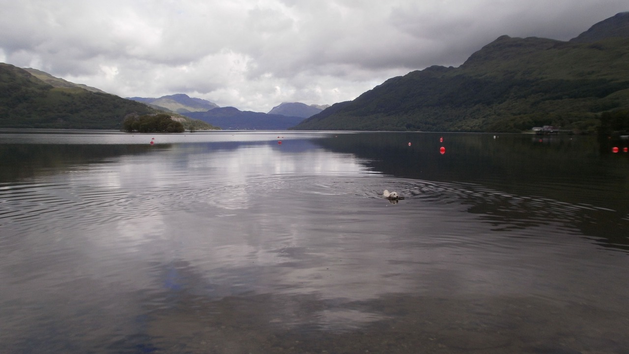 Photo of Others in Rowardennan