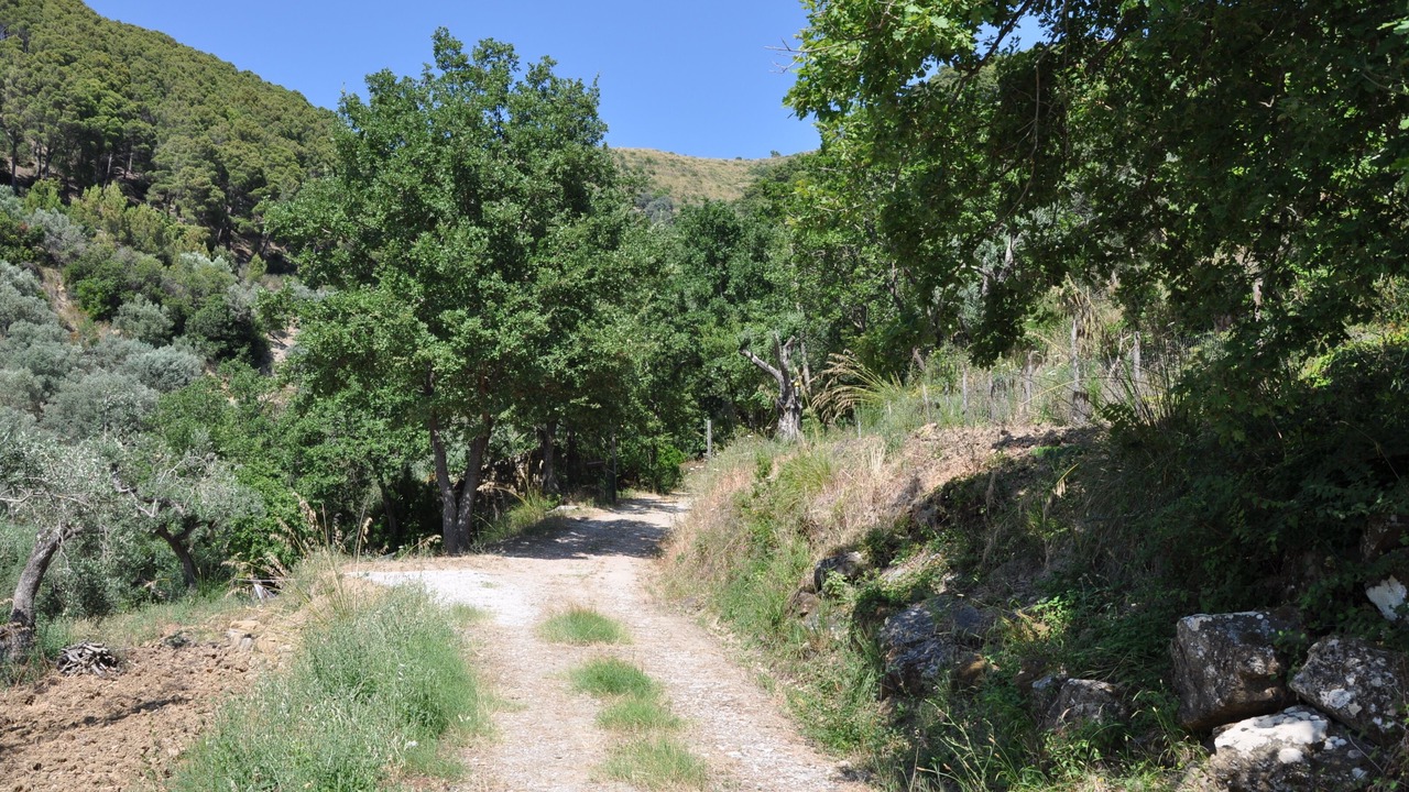 Photo of Outdoor in Montecorice