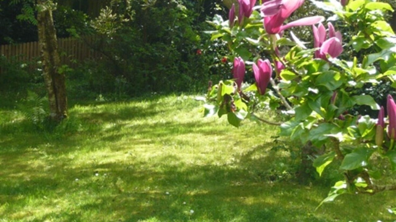 Photo of Outdoor in St Austell