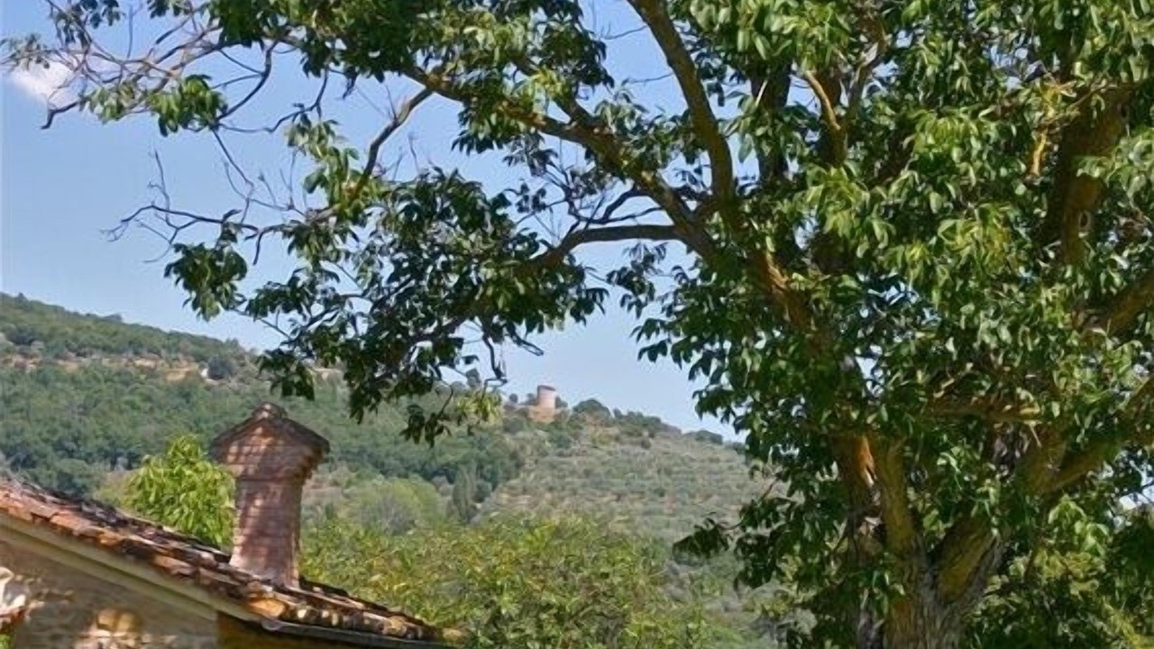 Photo of Others in Cortona