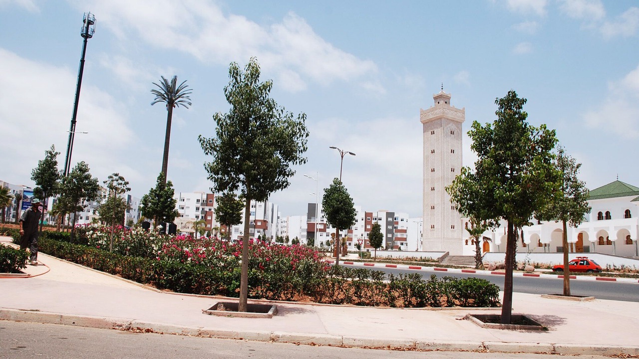 Photo of Others in Cite Al Mohammadi