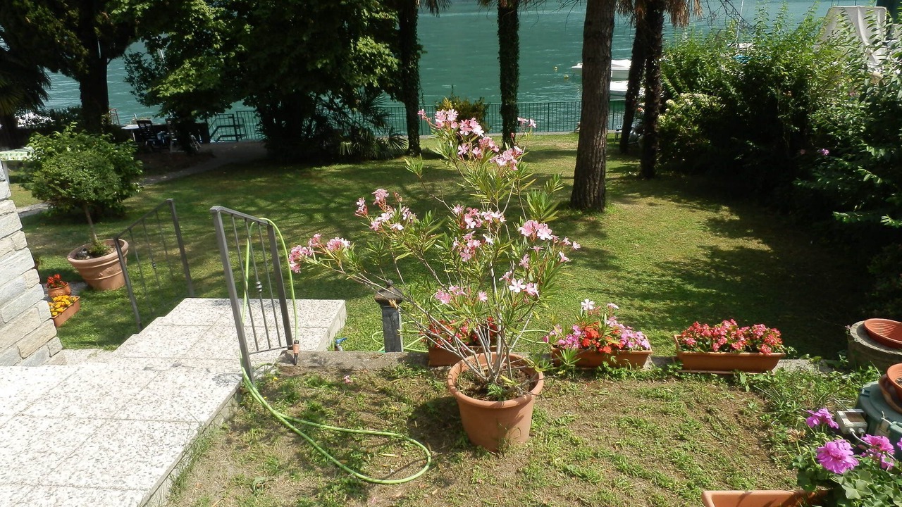 Photo of Outdoor in Cima