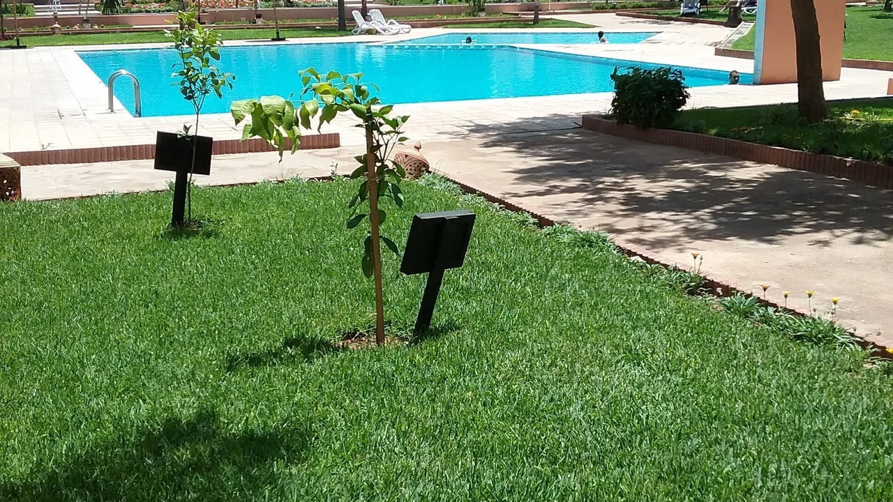 Photo of Outdoor in Palmeraie