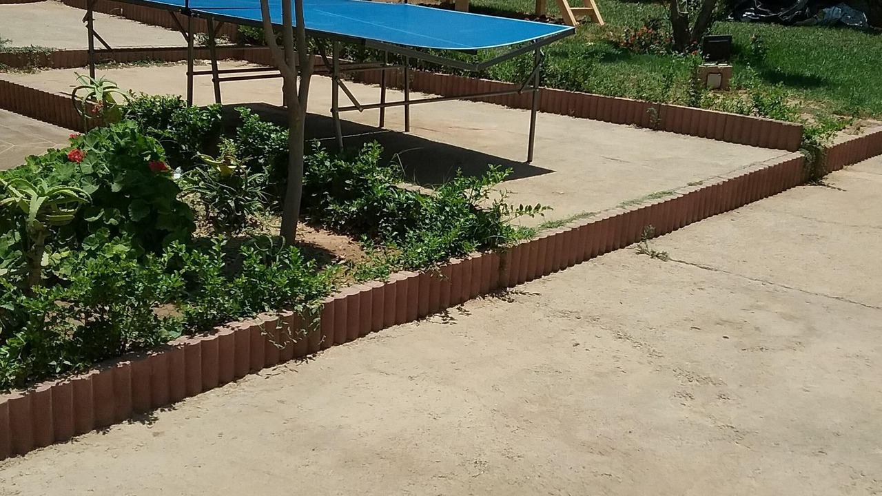 Photo of Outdoor in Palmeraie