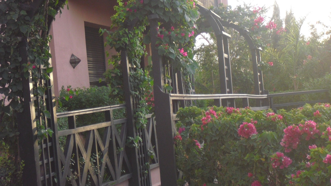 Photo of Outdoor in Palmeraie