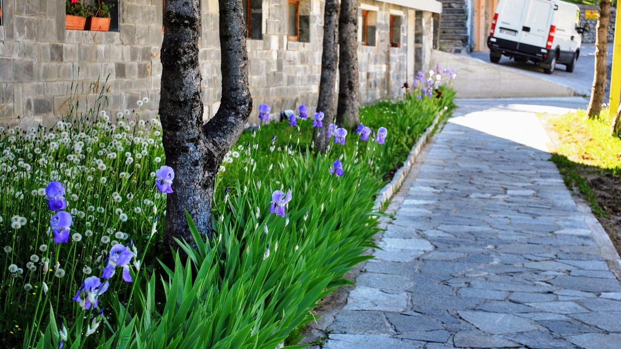 Photo of Outdoor in Prato Nevoso