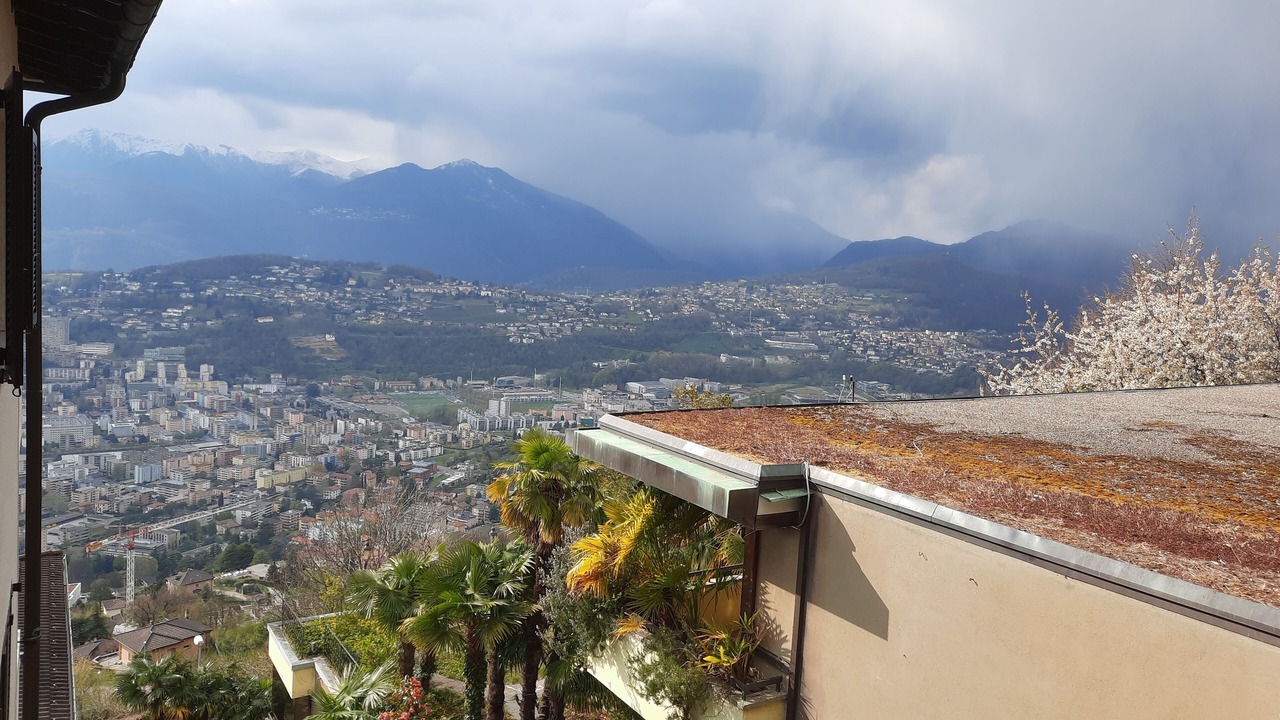 Photo of Others in Lugano