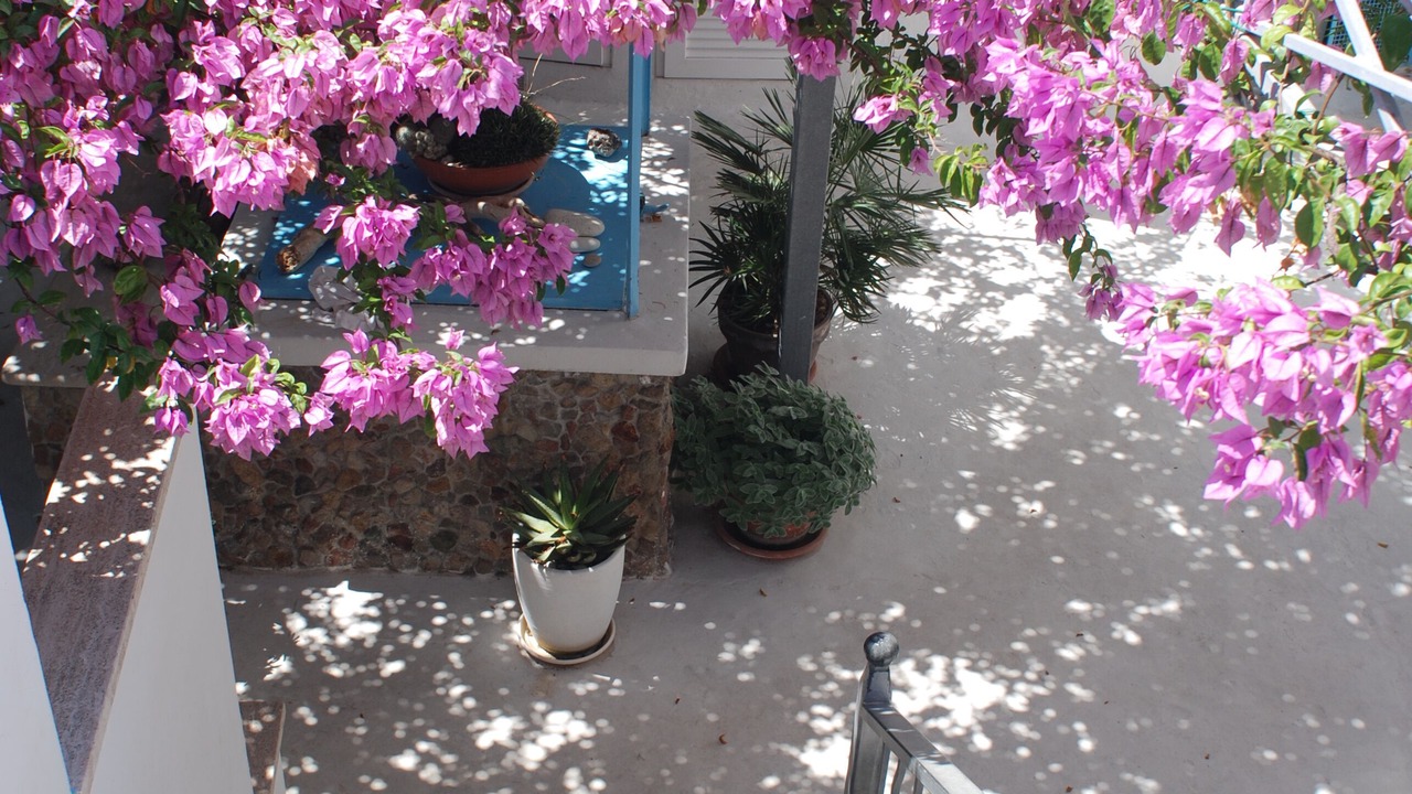 Photo of Outdoor in Le Forna