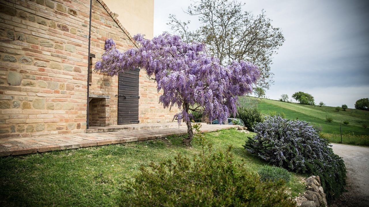 Photo of Outdoor in Colmurano