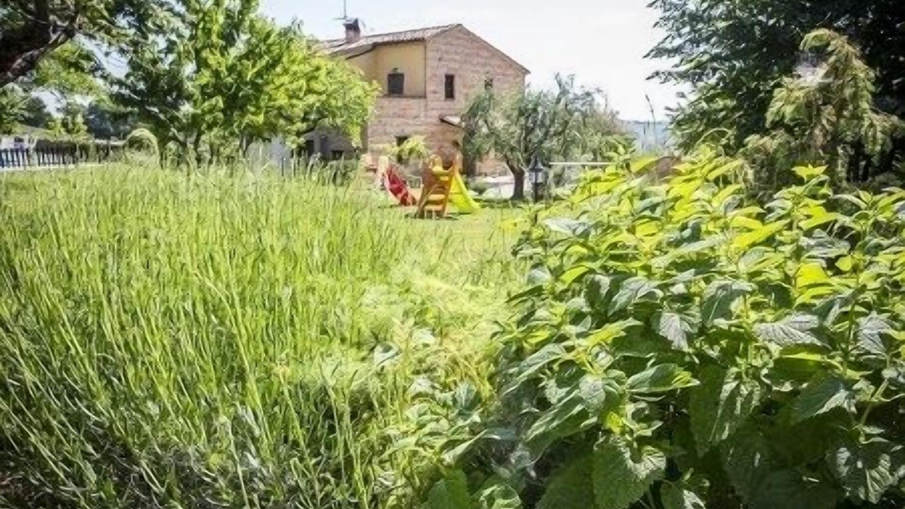 Photo of Outdoor in Colmurano