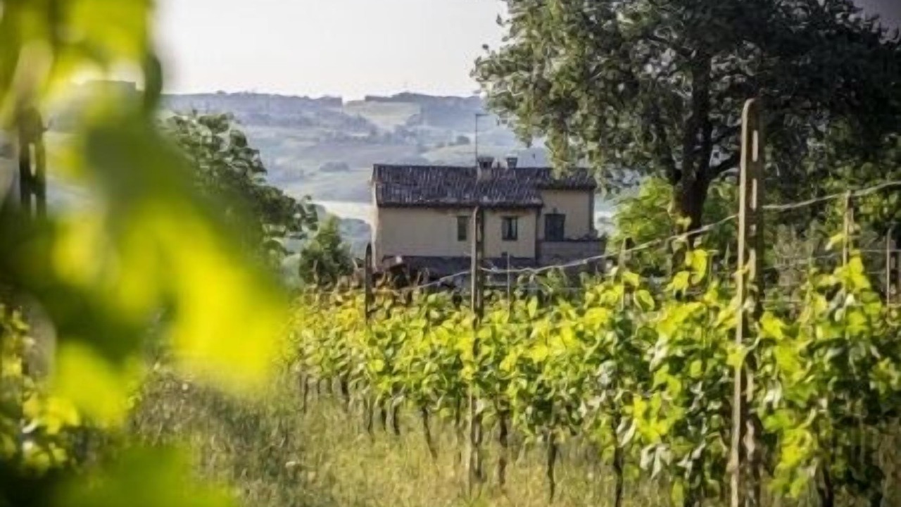 Photo of Others in Colmurano