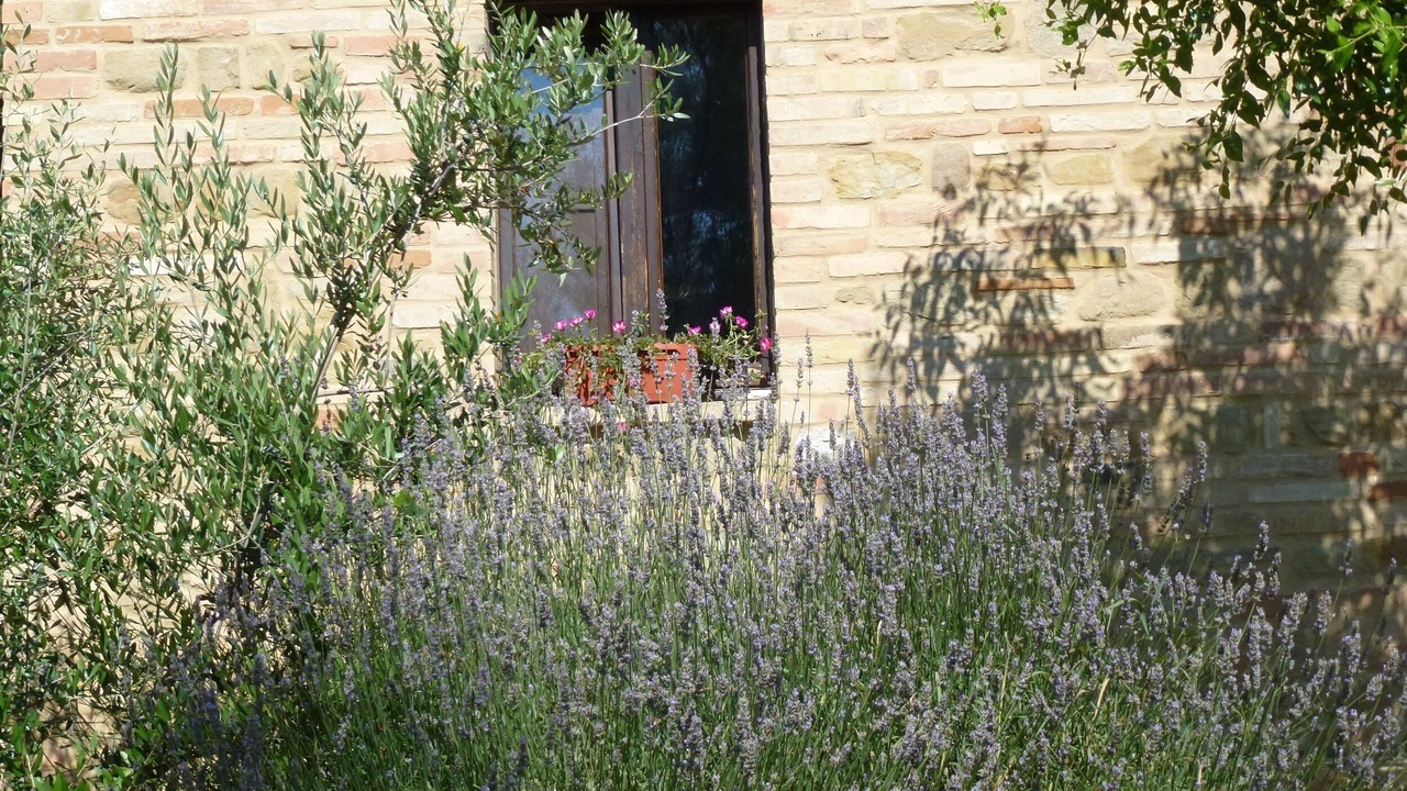 Photo of Outdoor in Colmurano