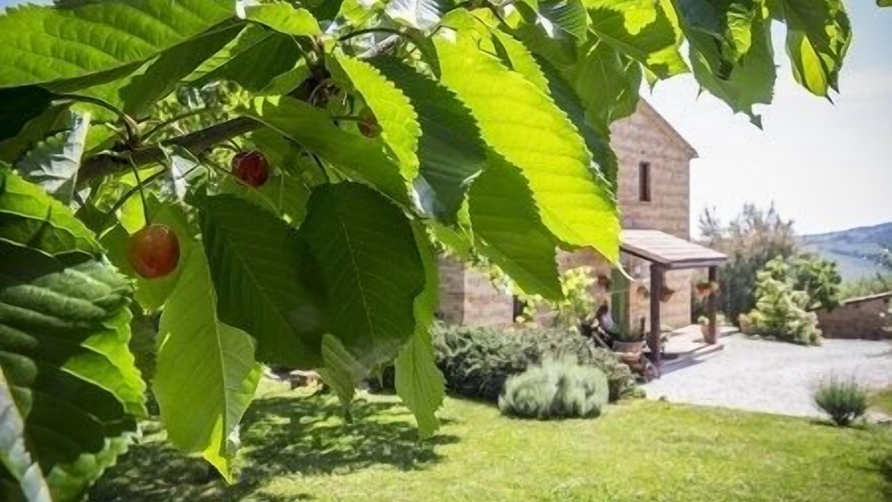 Photo of Outdoor in Colmurano