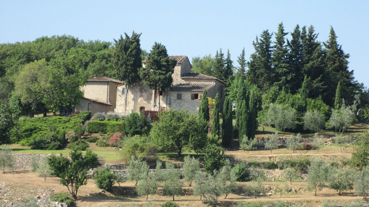 Photo of Others in Greve in Chianti